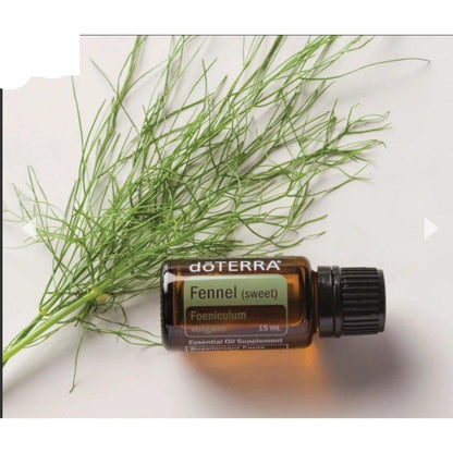 dōTERRA Fennel (Sweet) 15ml essential oil - Anjelstore 